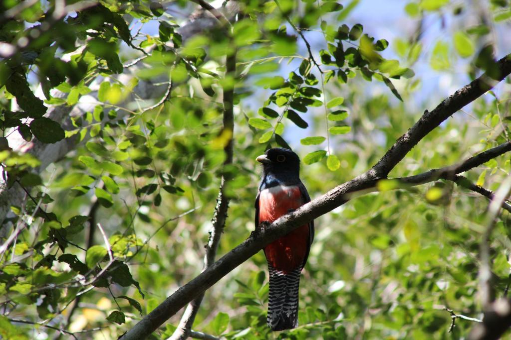 Pousada Boyra Bonito  Bagian luar foto