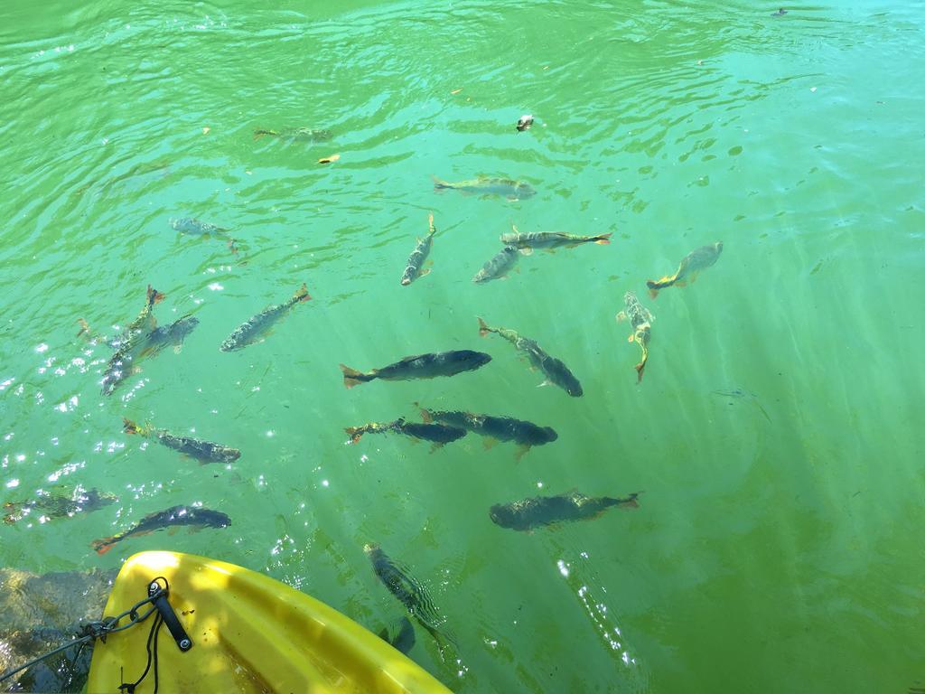 Pousada Boyra Bonito  Bagian luar foto